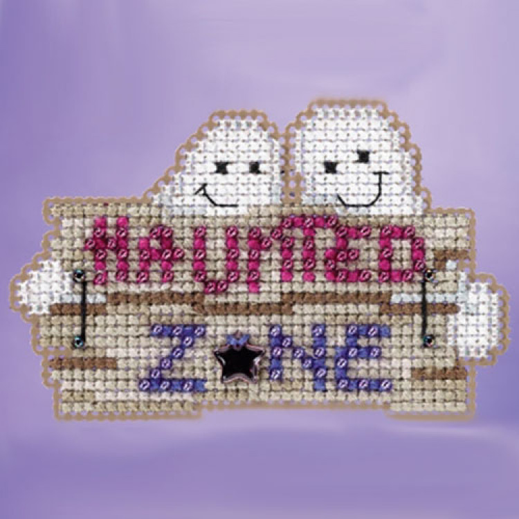 Haunted Zone cross stitch/beading kit