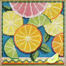 Citrus cross stitch/beading kit