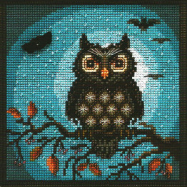 Midnight Owl cross stitch/beading kit