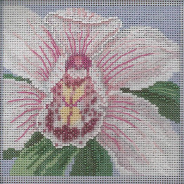 White Orchid cross stitch/beading kit